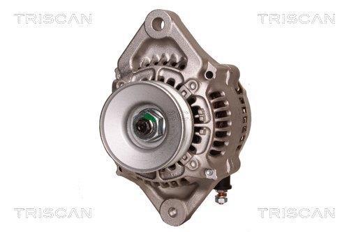 Alternateur Triscan A/S 8310 69015