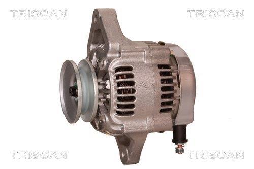 Alternateur Triscan A/S 8310 69015