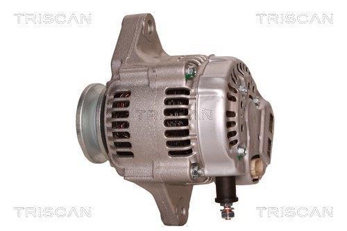 Alternateur Triscan A/S 8310 69015