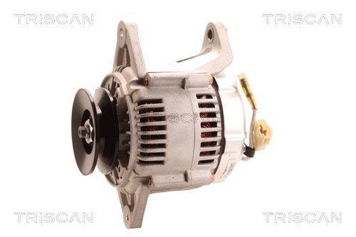 Alternateur Triscan A/S 8310 69016