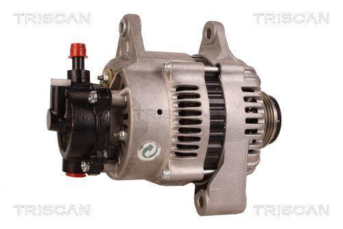 Alternateur Triscan A/S 8310 80001