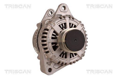 Alternateur Triscan A/S 8310 80001