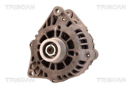Alternateur Triscan A/S 8310 80001