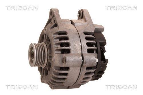 Alternateur Triscan A/S 8310 80001