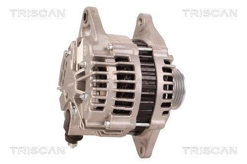 Alternateur Triscan A/S 8310 80004