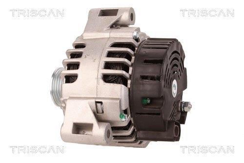 Alternateur Triscan A/S 8310 80004