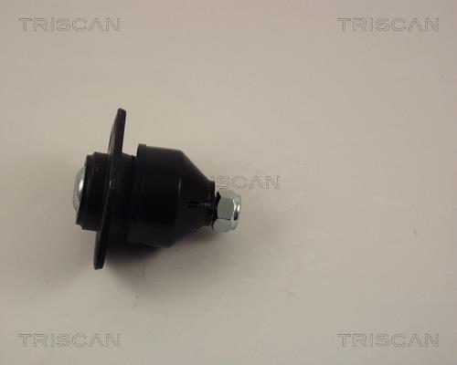 Rotule de suspension (Rotule de pivot) Triscan A/S 8500 10503