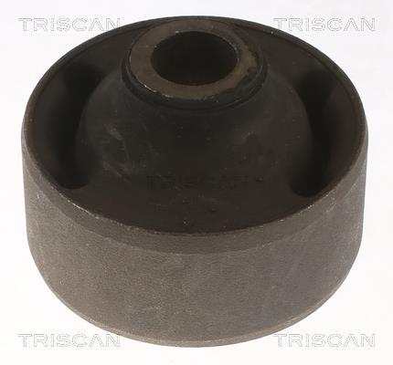 Silent bloc de suspension Triscan A/S ref. 8500 108006