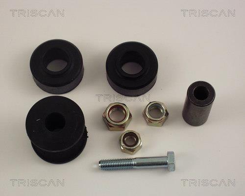 Suspensão, braço oscilante Triscan A/S ref. 8500 10805