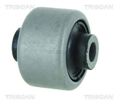 Suspensão, braço oscilante Triscan A/S ref. 8500 10837
