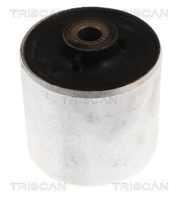 Silent bloc de suspension Triscan A/S ref. 8500 118049