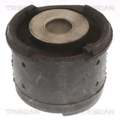 Bucha de eixo Triscan A/S 8500 11833