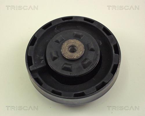 Suporte suspensão Triscan A/S ref. 8500 11903