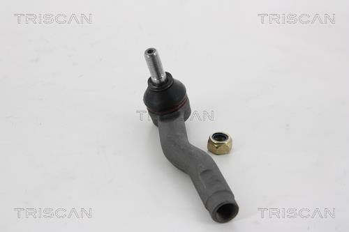 Rótula barra de dirección Triscan A/S ref. 8500 13157