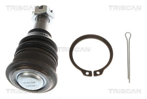 Rotule de suspension (Rotule de pivot) Triscan A/S 8500 135077