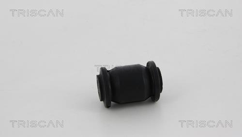 Silent bloc de suspension Triscan A/S 8500 13813