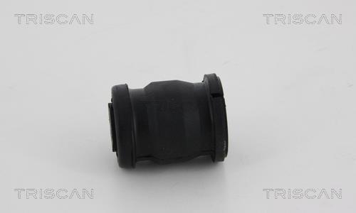 Suspensão, braço oscilante Triscan A/S 8500 13814