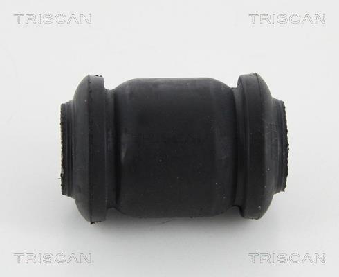 Silent bloc de suspension Triscan A/S ref. 8500 13818