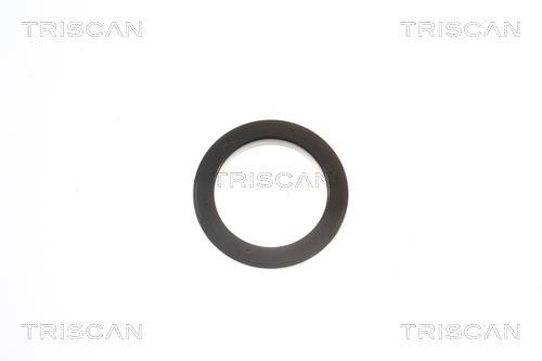 Rolamento copo de suspensão Triscan A/S ref. 8500 13924