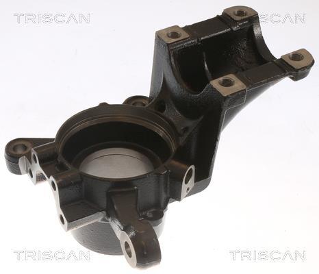 Muñón del eje, suspensión de rueda Triscan A/S ref. 8500 15701