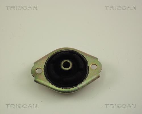 Suporte suspensão Triscan A/S ref. 8500 15902
