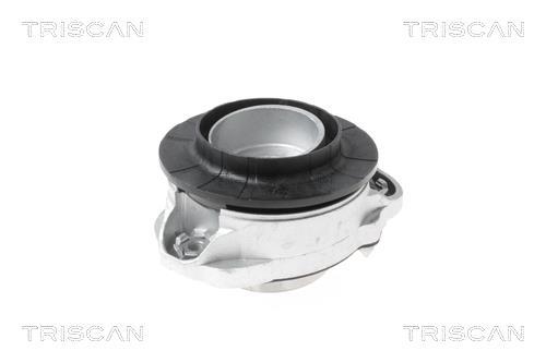 Butée d'amortisseur (Butée de suspension) Triscan A/S ref. 8500 15917