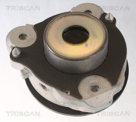 Butée d'amortisseur (Butée de suspension) Triscan A/S ref. 8500 15919