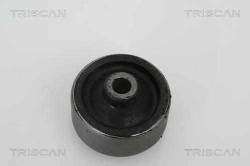 Suspensão, braço oscilante Triscan A/S ref. 8500 16809