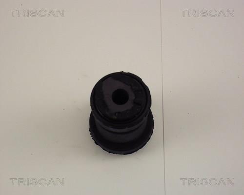 Suspensão, braço oscilante Triscan A/S ref. 8500 16813