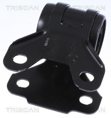 Silent bloc de suspension Triscan A/S 8500 16837