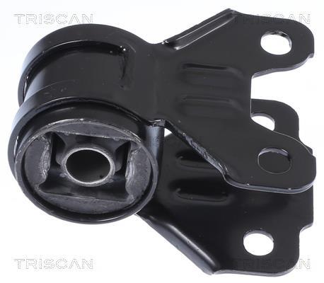 Silentblock de Suspensión Triscan A/S ref. 8500 16881