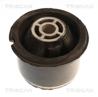 Silentblock del puente trasero Triscan A/S ref. 8500 16888