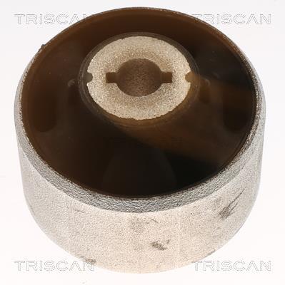 Silent bloc de suspension Triscan A/S ref. 8500 16891