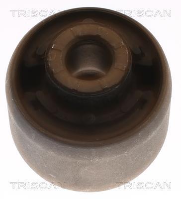 Silent bloc de suspension Triscan A/S ref. 8500 16895