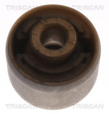 Silent bloc de suspension Triscan A/S ref. 8500 16895