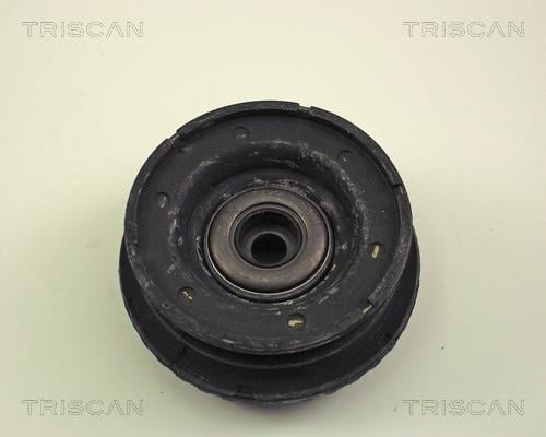 Suporte suspensão Triscan A/S ref. 8500 16900