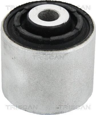Suspensão, braço oscilante Triscan A/S ref. 8500 17815