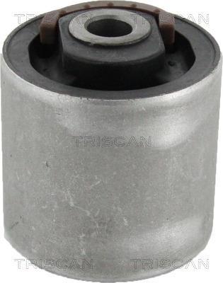 Silentblock de Suspensión Triscan A/S ref. 8500 17816