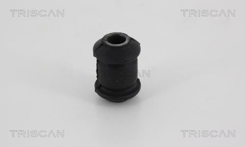 Suspensão, braço oscilante Triscan A/S ref. 8500 21801