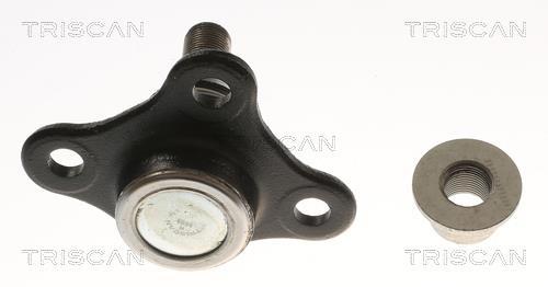 Rotule de suspension (Rotule de pivot) Triscan A/S ref. 8500 235078