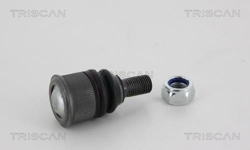 Rotule de suspension (Rotule de pivot) Triscan A/S 8500 23568