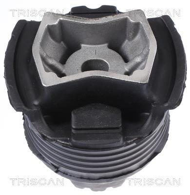Bucha de eixo Triscan A/S ref. 8500 238010