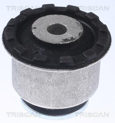 Silentblock de Suspensión Triscan A/S 8500 238016