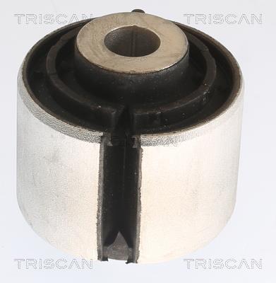 Silentblock de Suspensión Triscan A/S 8500 238032