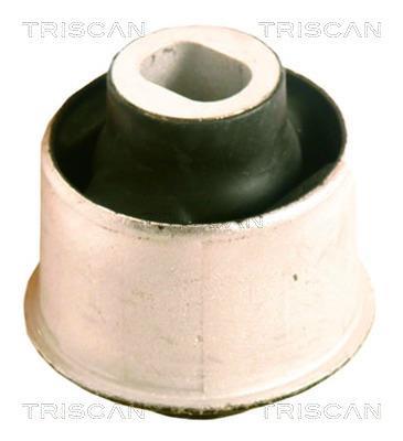 Suspensão, braço oscilante Triscan A/S ref. 8500 23818