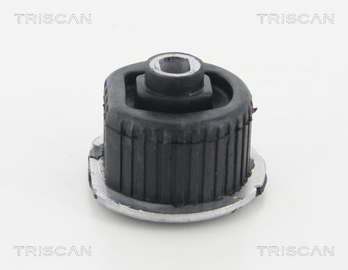 Bucha de eixo Triscan A/S ref. 8500 23893