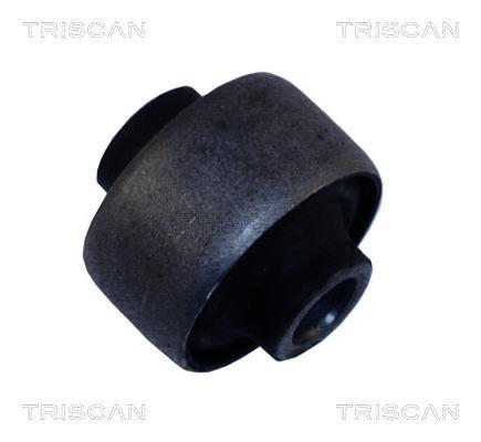 Silentblock de Suspensión Triscan A/S ref. 8500 24817