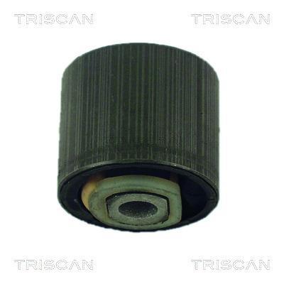 Silentblock de Suspensión Triscan A/S ref. 8500 24818