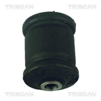 Silentblock de Suspensión Triscan A/S ref. 8500 24823