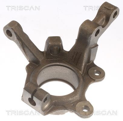 Fusée d'essieu, suspension de roue Triscan A/S ref. 8500 25701